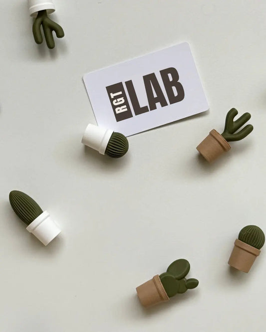 Magnets Cactus – Déco Frigo Rgt Lab